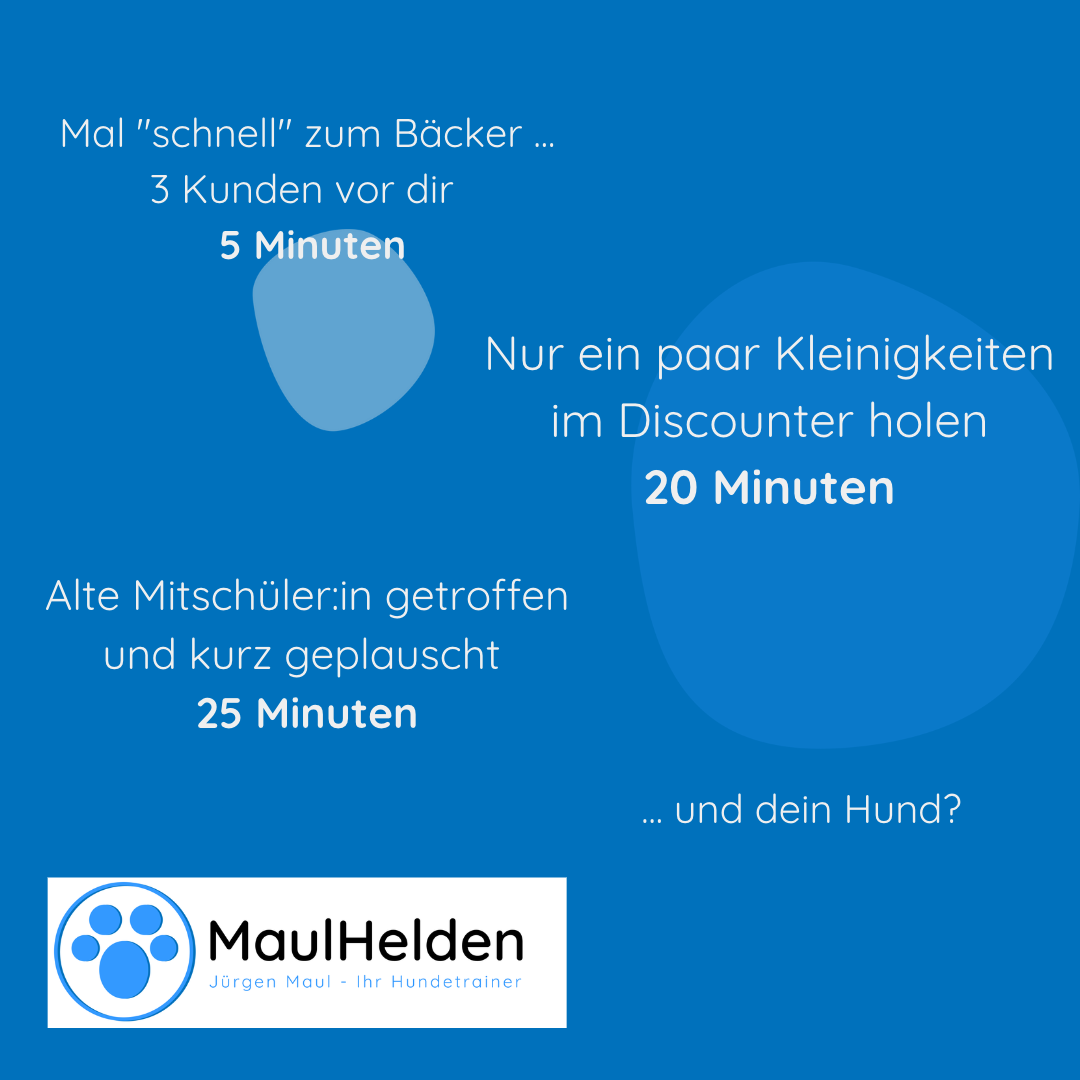 So schnell kanns gehen ... Image