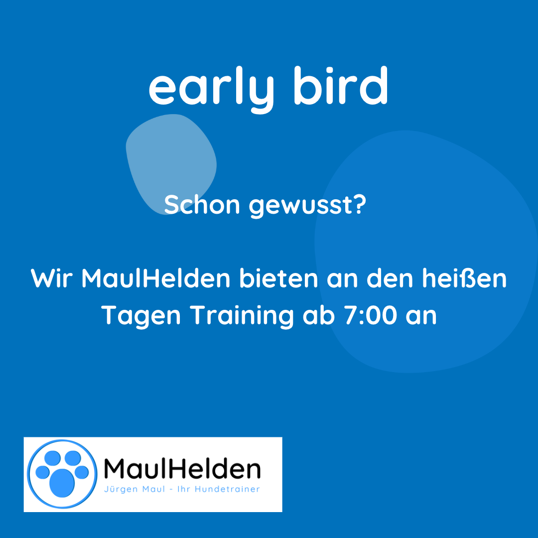 Early Bird
